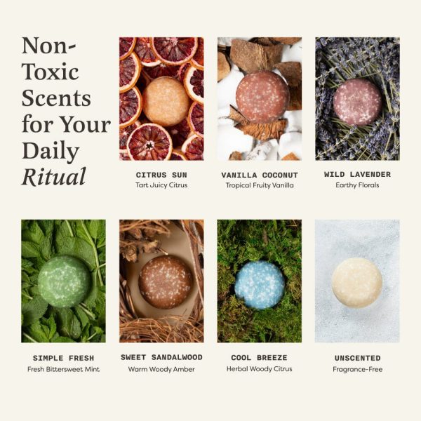 Spiced Essentials Bundle