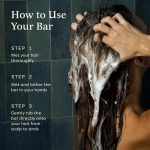 Spiced Essentials Bundle